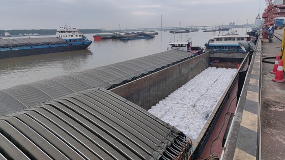 Na2SO4 Daily Chemical Raw Materials Sodium Sulphate Anhydrous 99+ %