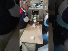 Trichloroisocyanuric Acid